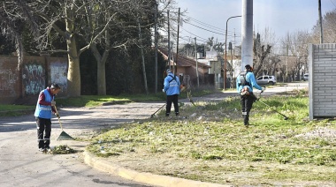 El operativo municipal de limpieza tuvo su escala en el oeste platense