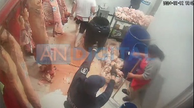 Captados in fraganti: ¿Falsos policías? asaltan una carnicería en Los Hornos