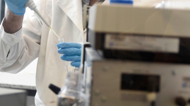 Se abrió la convocatoria a las Becas Bonaerenses de Investigación