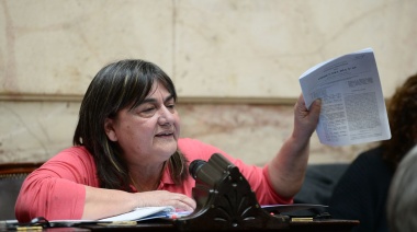 Una diputada superó a Diego: “Hay que ser muy tacho de mierda para votar contra los jubilados”