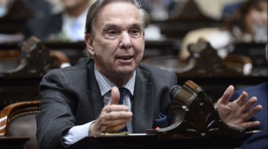 Pichetto recordó a Norma Plá en plena sesión y advirtió por “las consecuencias” del veto