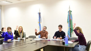 Avanza el proyecto que reglamenta la actividad de los acompañantes terapéuticos