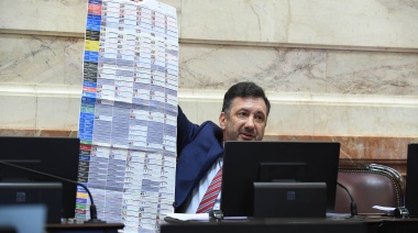 El Senado aprobó el proyecto de Boleta Única de Papel