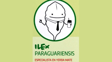 Ilex, la mascota del mate
