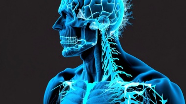 Ataxia, la condición neurológica caracterizada por la dificultad en la coordinación de movimientos