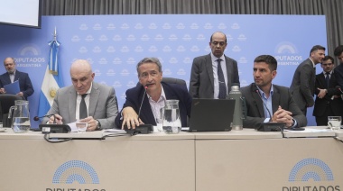 El proyecto de Boleta Única de Papel recibió dictamen en Diputados