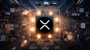 ¡XRP Millionaire revela su moneda DeFi favorita para comprar antes del Bull Run de 2024!