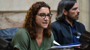 Desde la izquierda aseveran que “esta lucha debe seguir con o sin veto”