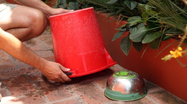 “Tapá, lavá, tirá y girá”: Impulsan campaña de descacharrado para combatir el dengue