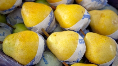El alimento sin procesar representó la mitad de las exportaciones PyMEs