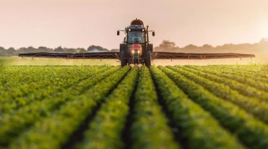 En años “Niña”, fertilizar incrementa en un 73 % la eficiencia del uso de agua