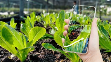 Del código de barras al QR con Blockchain en pos de la seguridad alimentaria