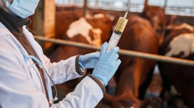 La resistencia antimicrobiana podría provocar 10 millones de muertes anuales para 2050