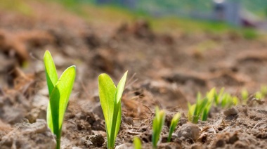Cifrada expectativa en la producción agropecuaria con biológicos