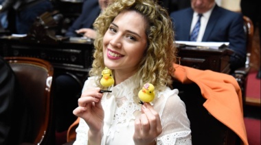 Una diputada rompió en llanto tras no dar quórum: “No soy enemiga del pueblo”