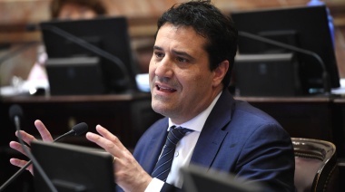 Abad justificó su rechazo a la expulsión del senador de los 200 mil dólares: “Se jugó para la tribuna”