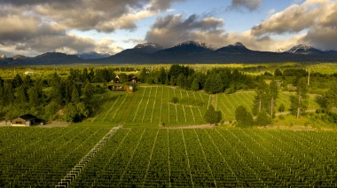 La esencia del terroir patagónico austral