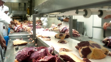 Más provincias trabajarán por un estándar unificado para frigoríficos