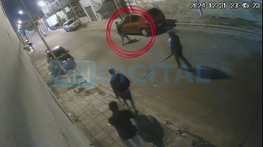 Echó a macetazos a los ladrones que querían robarle el auto a su mamá y a sus hijos en Morón