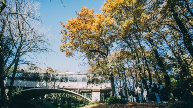 Un paseo distinto en La Feliz: música y yoga en la Casa sobre el Arroyo