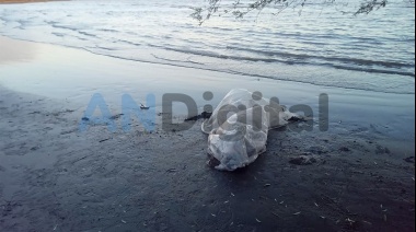 Encontraron el cadáver del pescador perdido en la costa de Berisso