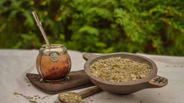 “La mateína no existe”: descifraron el genoma de la yerba