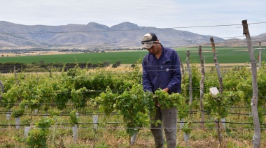 Espaldarazo a la producción láctea y vitivinícola en Tornquist