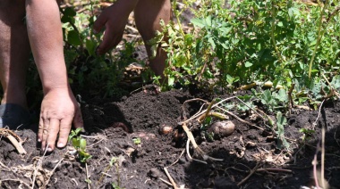 Ponderan el rol “fundamental” de la agricultura familiar