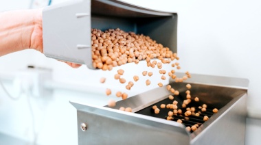 Legumbres, un comodín en la transformación alimentaria