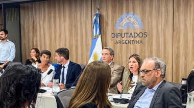 Ficha Limpia avanza en Diputados: Cuándo llega al recinto