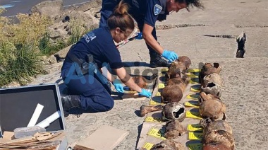 Horror: Hallan 17 cráneos y 4 huesos humanos en Quilmes