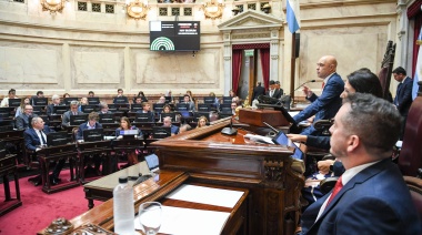 El Senado rechazó crear una comisión para investigar la criptoestafa que salpica a Milei