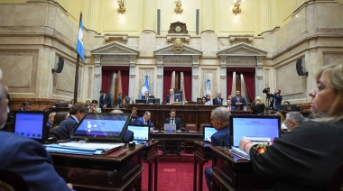 El Senado sancionó la ley que suspende las PASO de este año