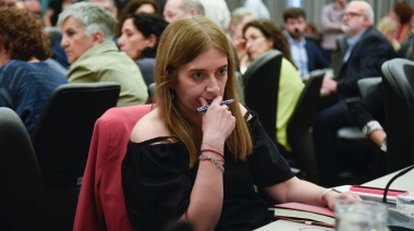 Diputada radical instó a “no minimizar más” la violencia presidencial