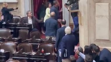 Escándalo: Dos diputados libertarios terminaron a las piñas en el recinto