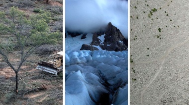 Bosques, glaciares y clima: desafíos ambientales que no pueden esperar