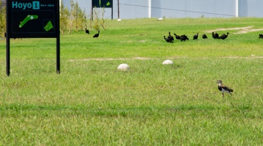 El Parque Indoamericano luce renovado: patio de juegos y futgolf