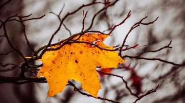 ¿Campaña de desprestigio al otoño?: la “depre” por los días cortos