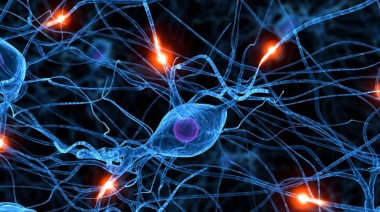 SYNGAP1: si se conoce, se diagnostica