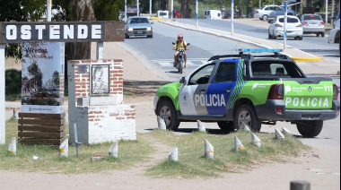 Un hombre decapitó al gato del vecino con un hacha en Ostende y lo detuvieron