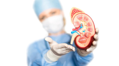 Cáncer de riñón: factores de riesgo y síntomas potenciales
