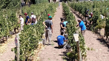 Obra salesiana en Argentina: el impacto laboral de una formación con valores