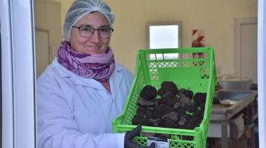 Diversificación productiva bonaerense: “También somos una provincia trufera”
