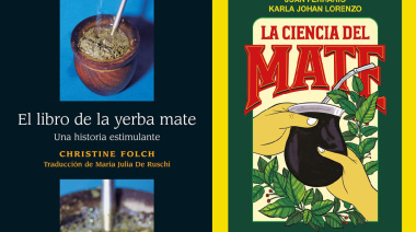 Mate derramado en los libros
