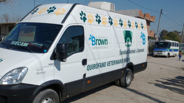 Rescataron a 17 perros de un criadero ilegal