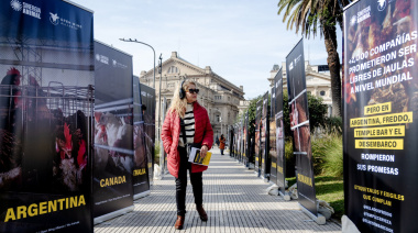 Impactante exposición para visibilizar la crueldad de la producción de huevos