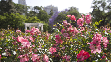 Poda anual del Rosedal de Palermo: se reparten tallos a los vecinos