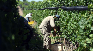 Trabajadores rurales rechazan “miserable” oferta de la Mesa de Enlace