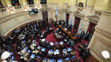 Abogado constitucionalista aclaró que “si el Gobierno veta, reconoce la validez de la sesión”