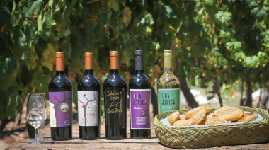 La sorprendente Ruta del Vino de Altura en Tucumán